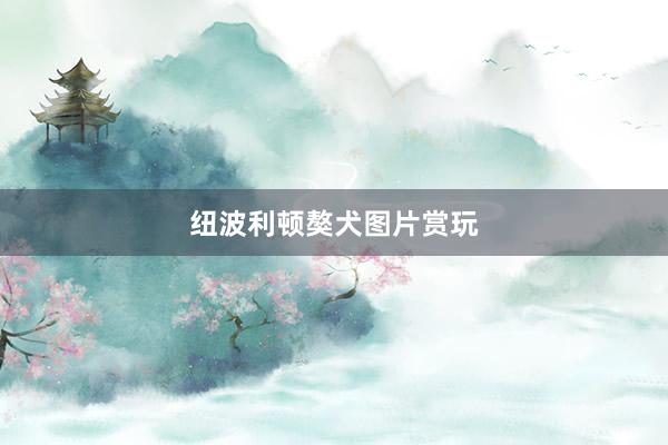 纽波利顿獒犬图片赏玩